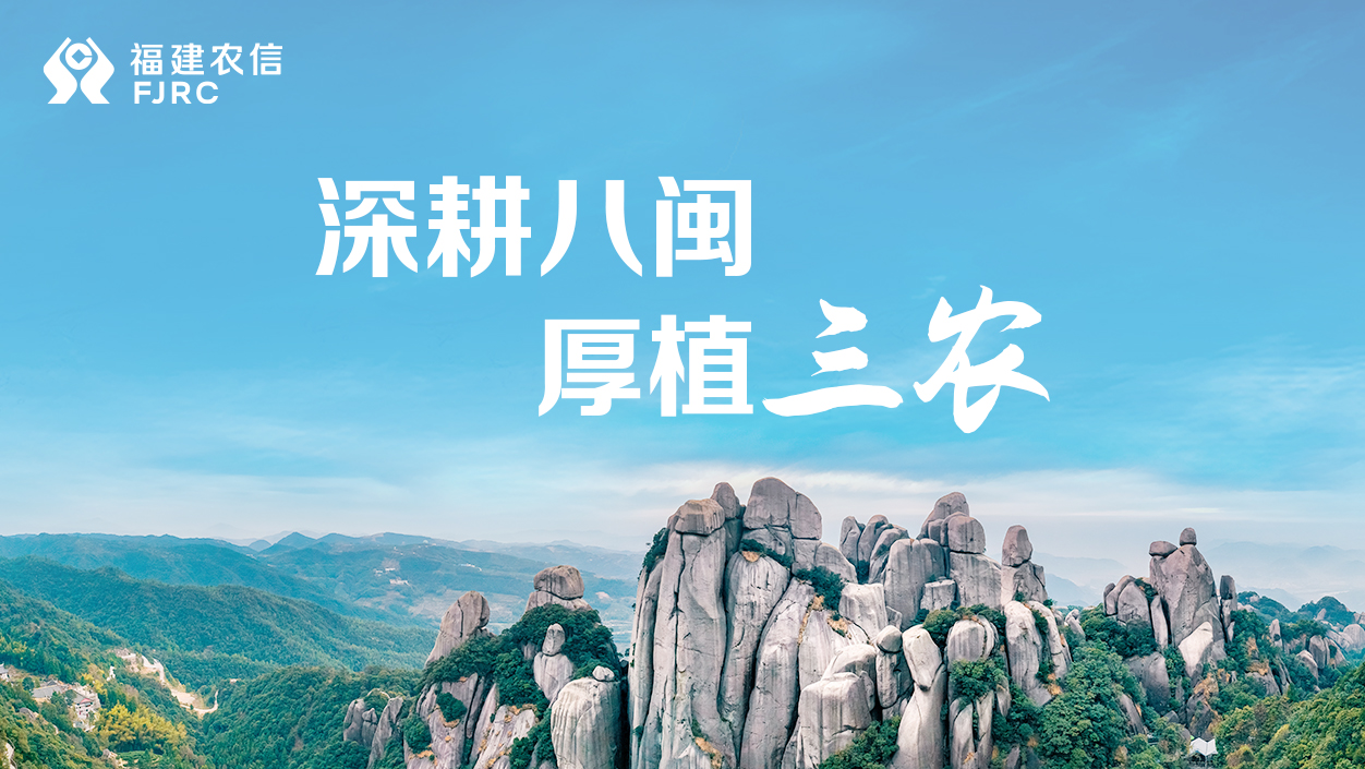 品牌封面图片3